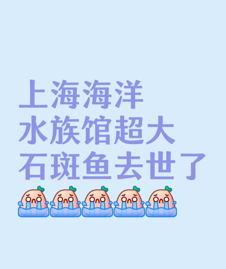 “元老级寿星”离世,上海市民:童年回忆又少一个 “元老级寿星”离世,上海市民:童年回忆又少一个