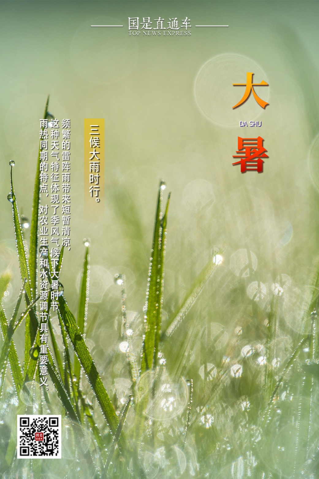 今日大暑｜愿你平心静气，不浮不躁