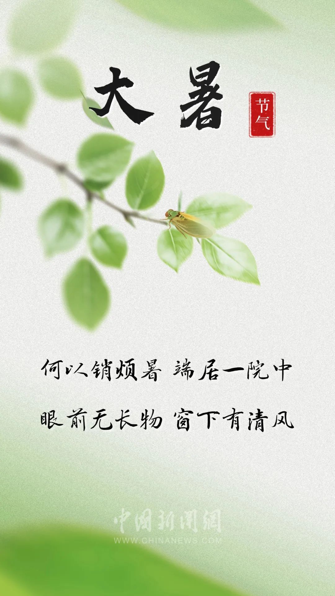 你的大暑朋友圈文案，来了！