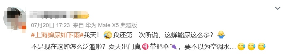 "被尿滋了一脸,还舔了舔"？上海人崩溃！最近多人中招,这4个字冲上热搜