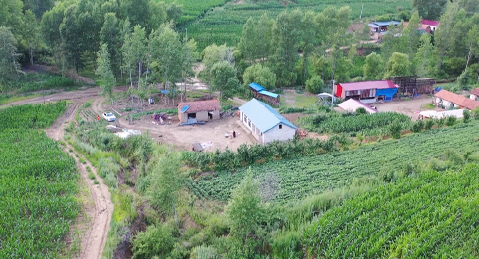 6岁男孩被毒蛇咬伤！紧急送哈尔滨......