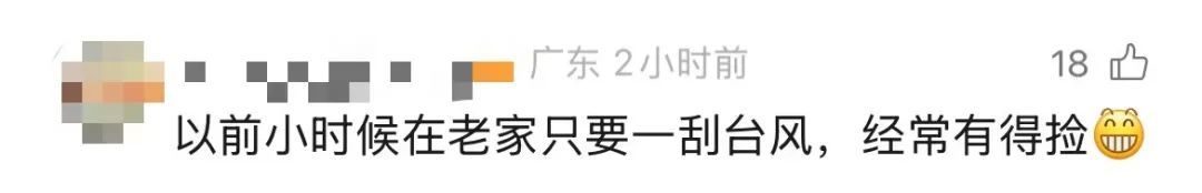 “捡不完根本捡不完”，人手一个桶，提醒：尽量不要吃