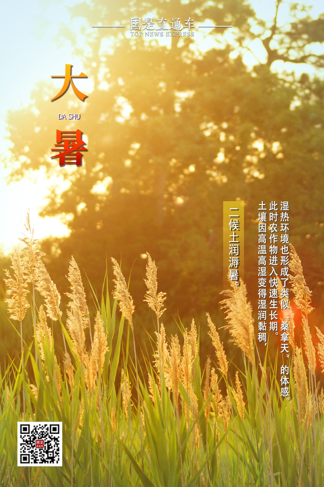 今日大暑｜愿你平心静气，不浮不躁