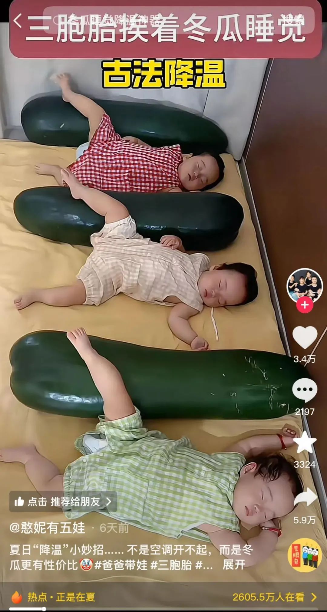 冬瓜入怀解酷暑：一个跨越明清的民间消暑IP何以翻红？