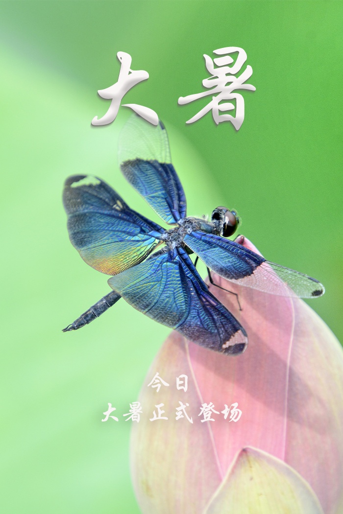 大暑!祝你静享清凉,幸福安康 大暑!祝你静享清凉,幸福安康