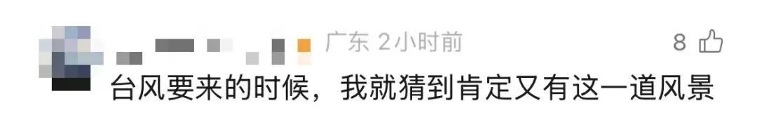 根本捡不完！台风过后，深圳海滩上“哇”声一片