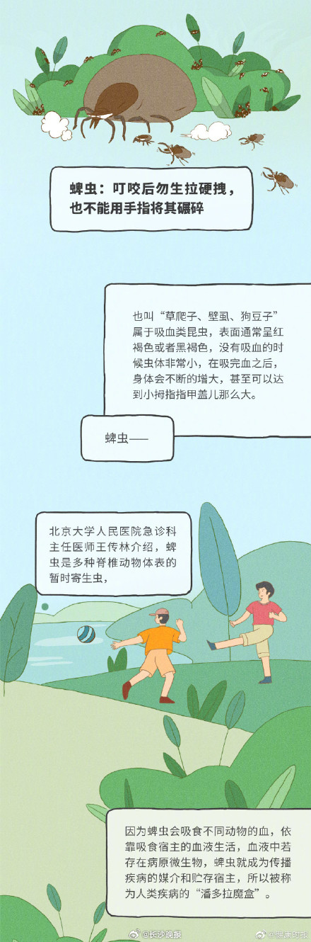 专业医师教你正确处理蚊虫叮咬