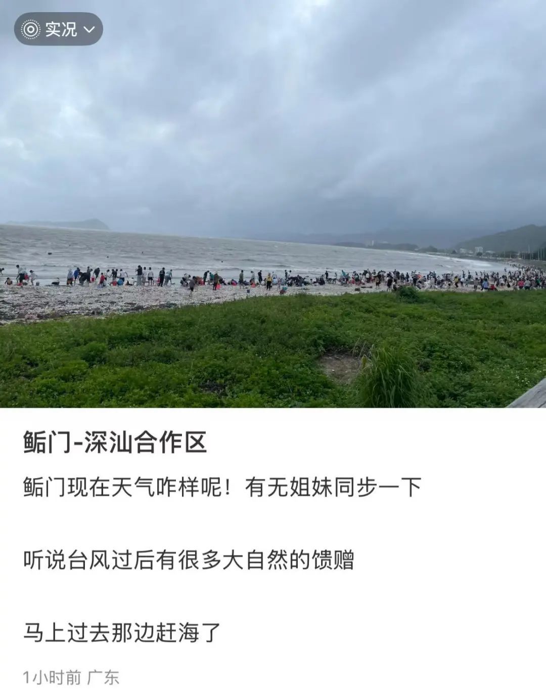 捡不完，根本捡不完！广东一地海滩再次惊现大量海鲜！提醒：尽量不要吃