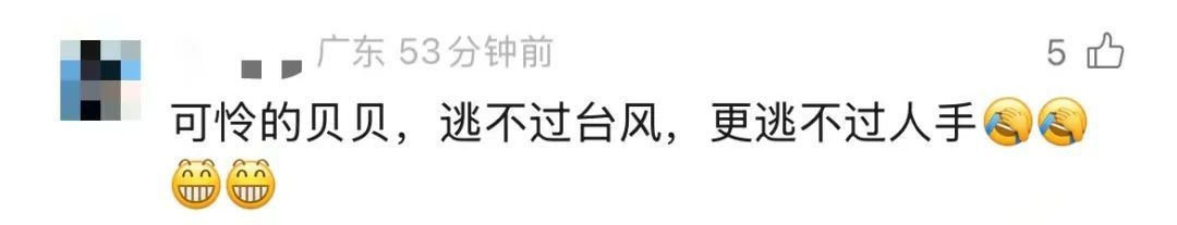 捡不完，根本捡不完！广东一地海滩再次惊现大量海鲜！提醒：尽量不要吃