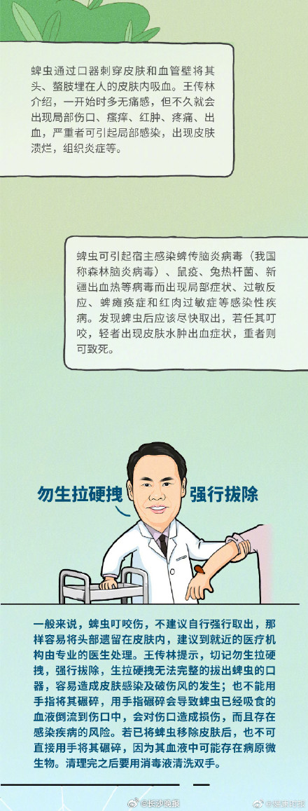 专业医师教你正确处理蚊虫叮咬