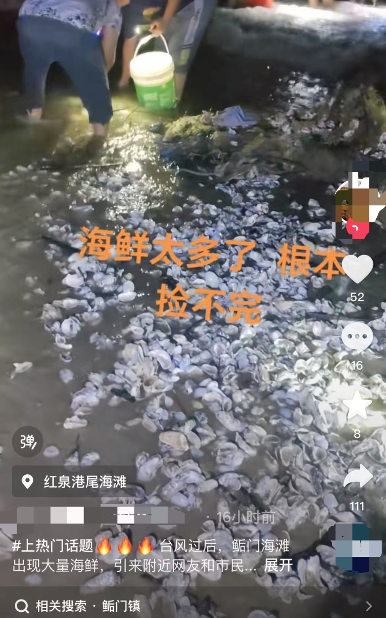 根本捡不完！台风过后，深圳海滩上“哇”声一片