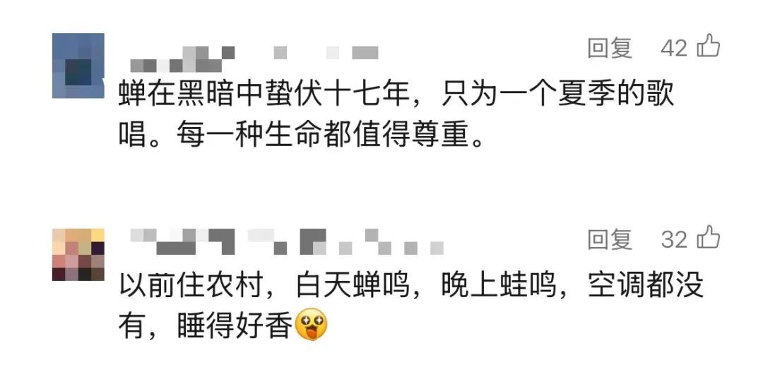 "被尿滋了一脸,还舔了舔"？上海人崩溃！最近多人中招,这4个字冲上热搜