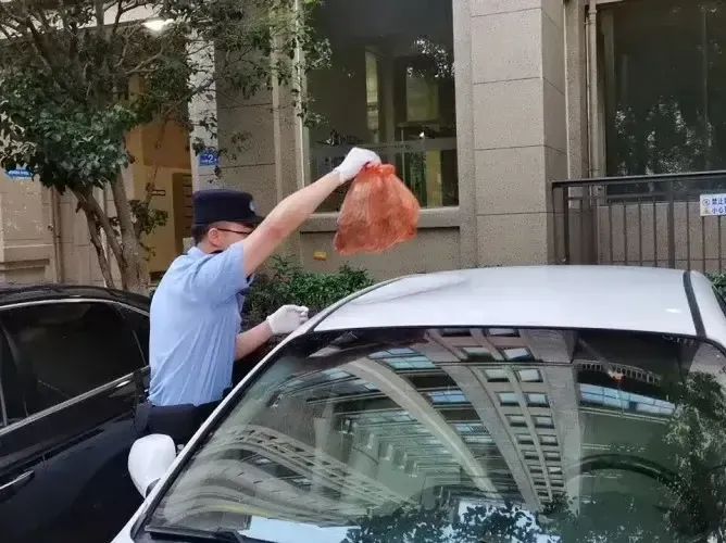 情绪不好懒得下楼，浙江女子随手一个动作，被刑拘！