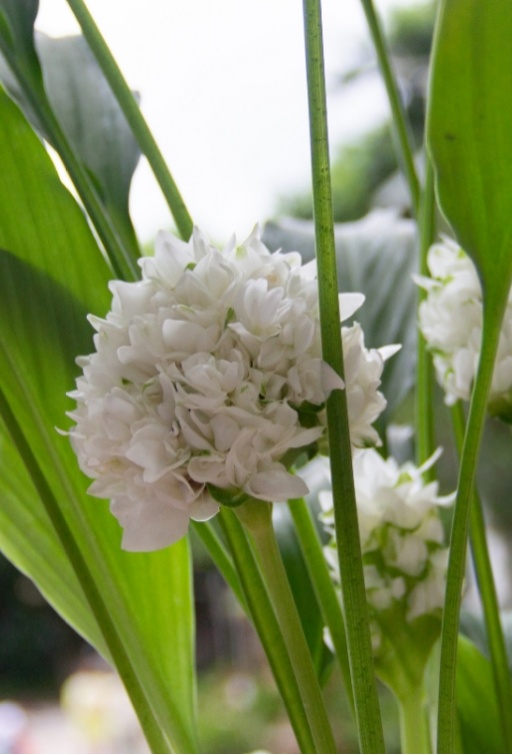 下一个台风有新消息，又在周末影响广州