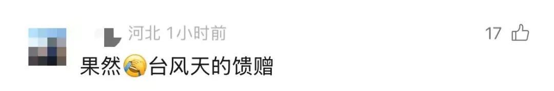 根本捡不完！台风过后，深圳海滩上“哇”声一片