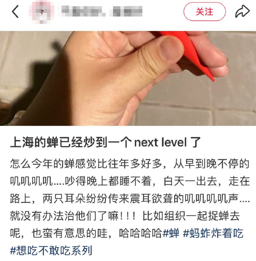 "被尿滋了一脸,还舔了舔"？上海人崩溃！最近多人中招,这4个字冲上热搜