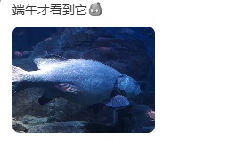 “元老级寿星”离世,上海市民:童年回忆又少一个 “元老级寿星”离世,上海市民:童年回忆又少一个