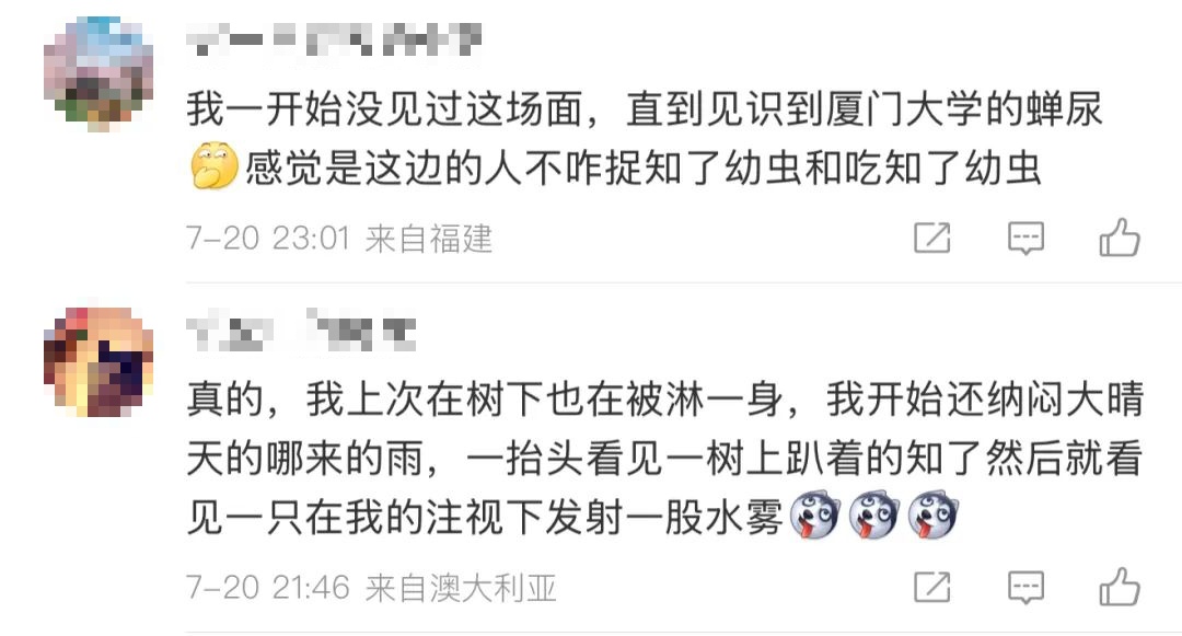 “被滋了一脸,还舔了舔……”近期很多人中招已崩溃!不是雨!不是空调水!专家提醒 “被滋了一脸,还舔了舔……”近期很多人中招已崩溃!不是雨!不是空调水!专家提醒