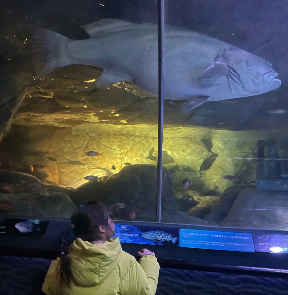 “元老级寿星”离世,上海市民:童年回忆又少一个 “元老级寿星”离世,上海市民:童年回忆又少一个