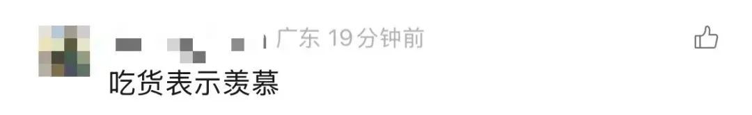 根本捡不完！台风过后，深圳海滩上“哇”声一片