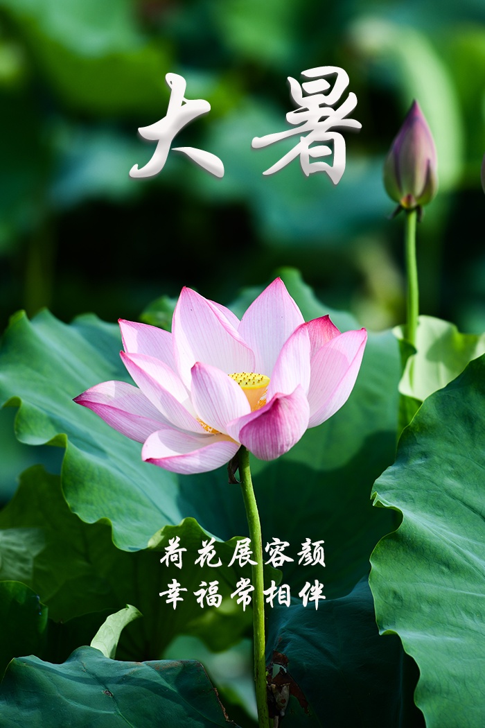 大暑!祝你静享清凉,幸福安康 大暑!祝你静享清凉,幸福安康