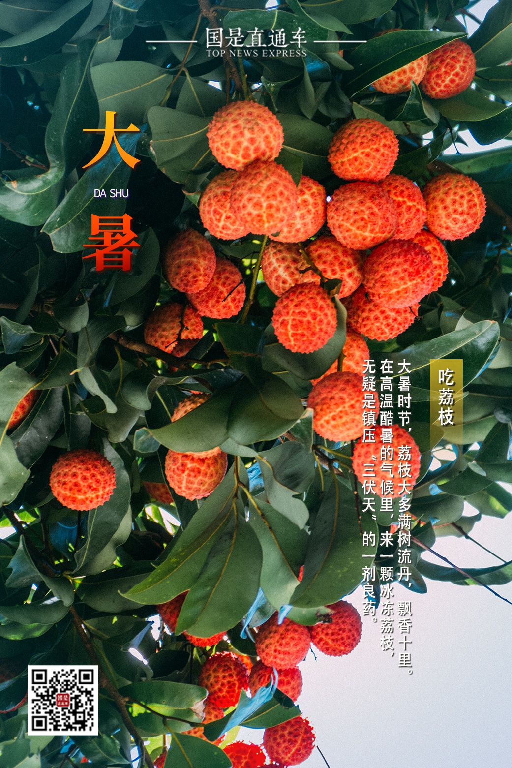 今日大暑｜愿你平心静气，不浮不躁