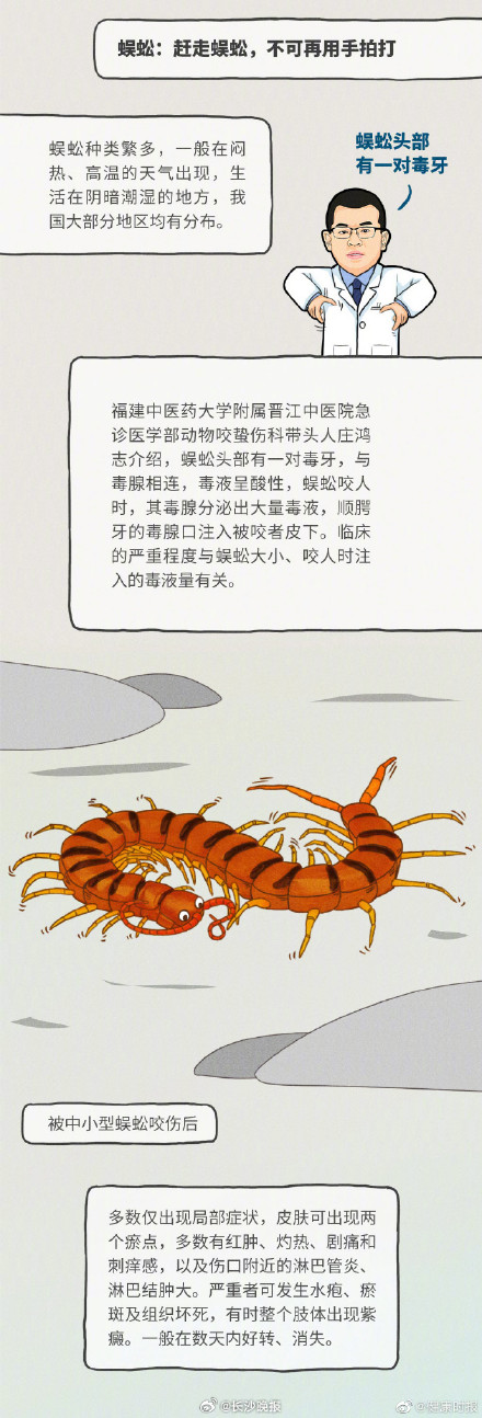 专业医师教你正确处理蚊虫叮咬
