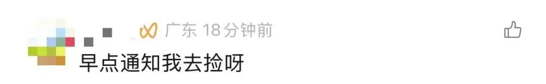 根本捡不完！台风过后，深圳海滩上“哇”声一片