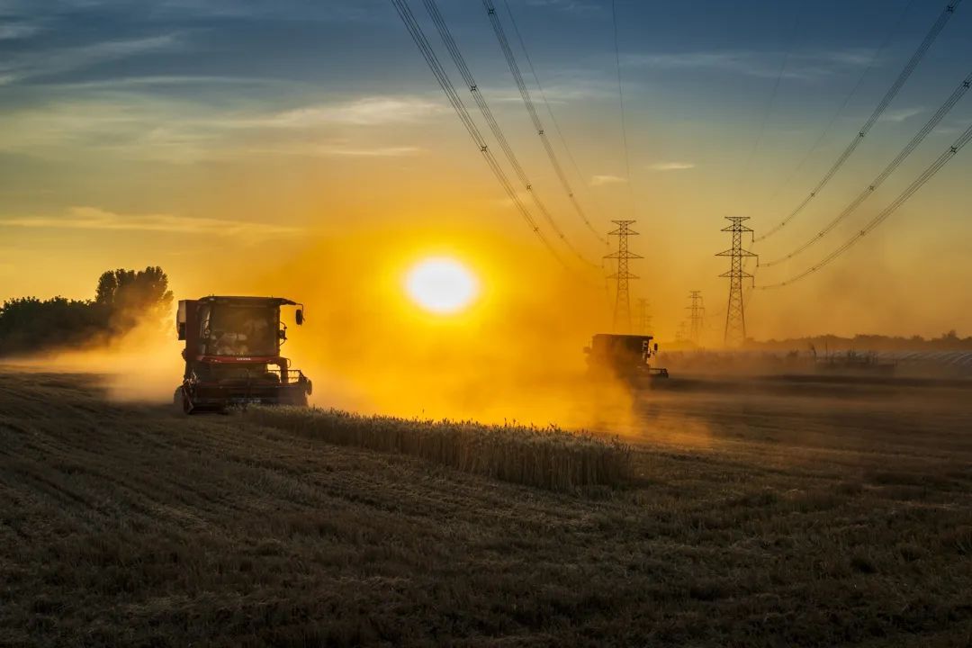 一年中最热的日子来了！大暑节气这么吃，三伏天里不受罪