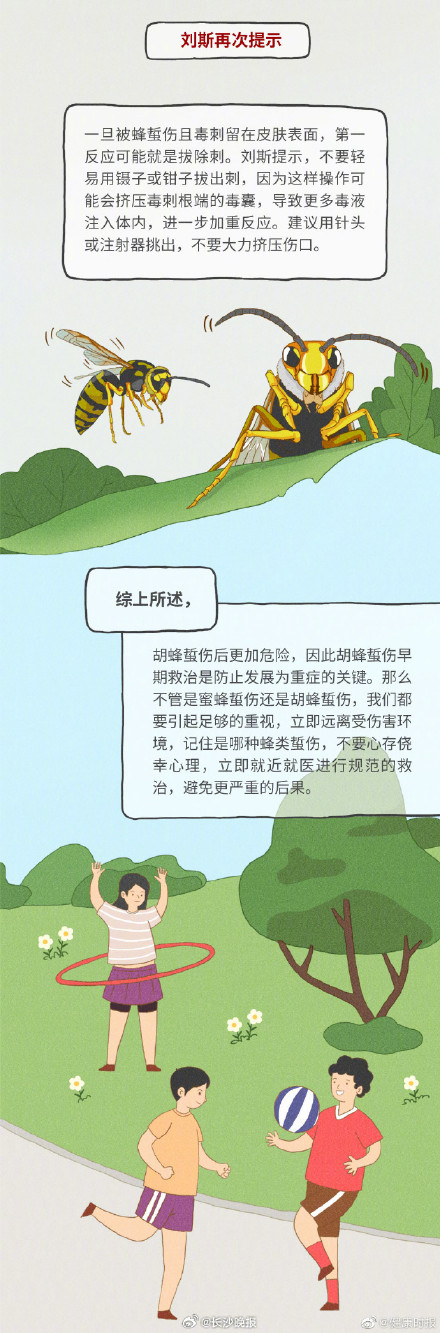 专业医师教你正确处理蚊虫叮咬