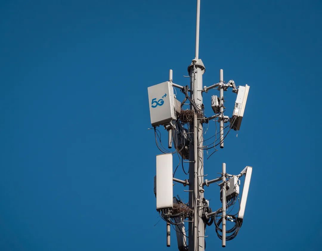 关于套餐、资费，三大运营商表态