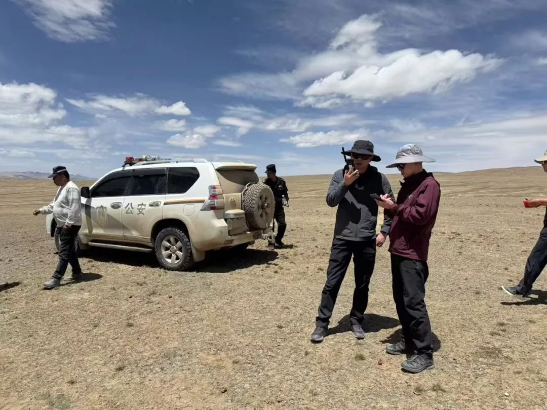 猎捕野牦牛幼崽,青海2人被抓! 猎捕野牦牛幼崽,青海2人被抓!