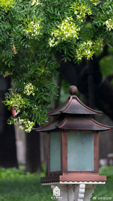 收藏！故宫夏日壁纸送来满屏清凉