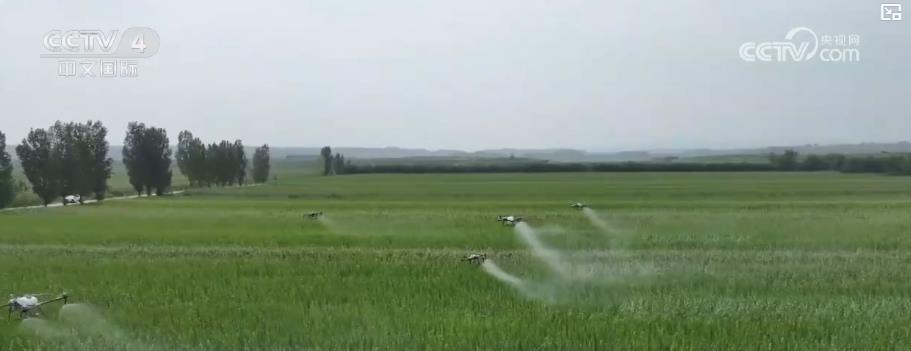 大暑时节 高温持续：这些暖心守护驱散暑气 带来丝丝清凉慰藉