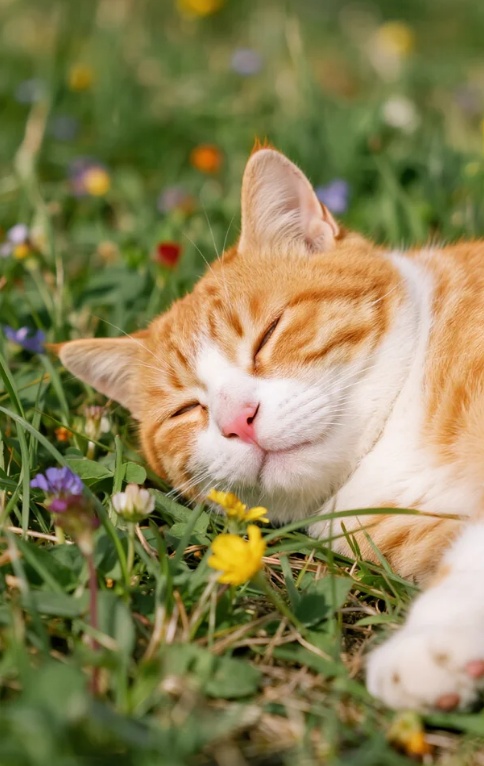 下一个台风有新消息，又在周末影响广州