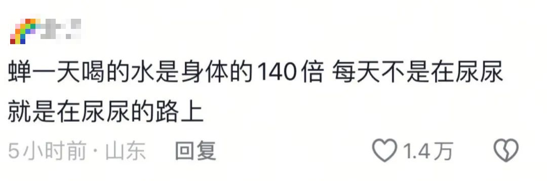 "被尿滋了一脸,还舔了舔"？上海人崩溃！最近多人中招,这4个字冲上热搜