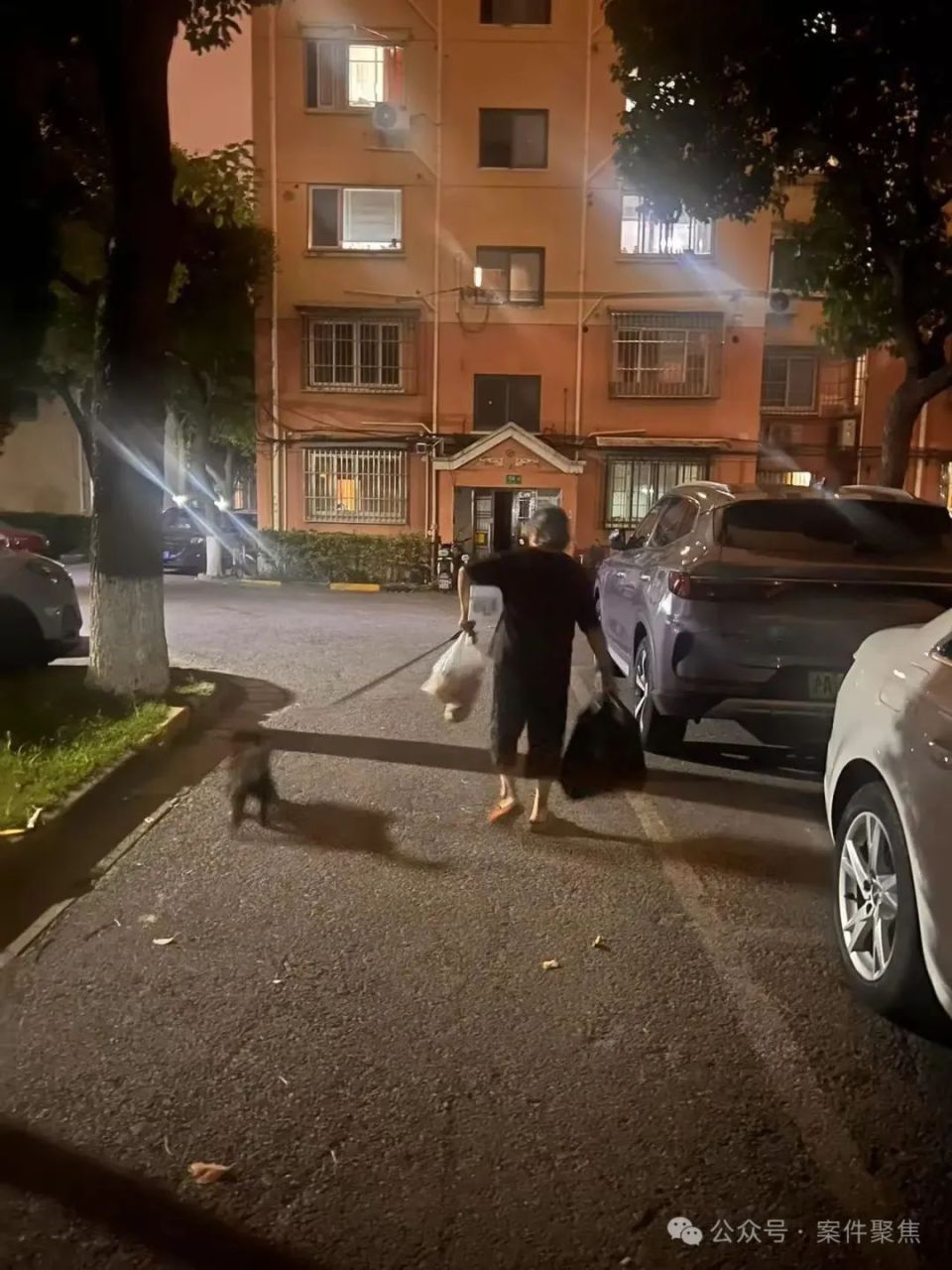 七旬老人堆成垃圾山，曾用三天清走八车垃圾！不久又堆满，邻居无奈将其告上法庭