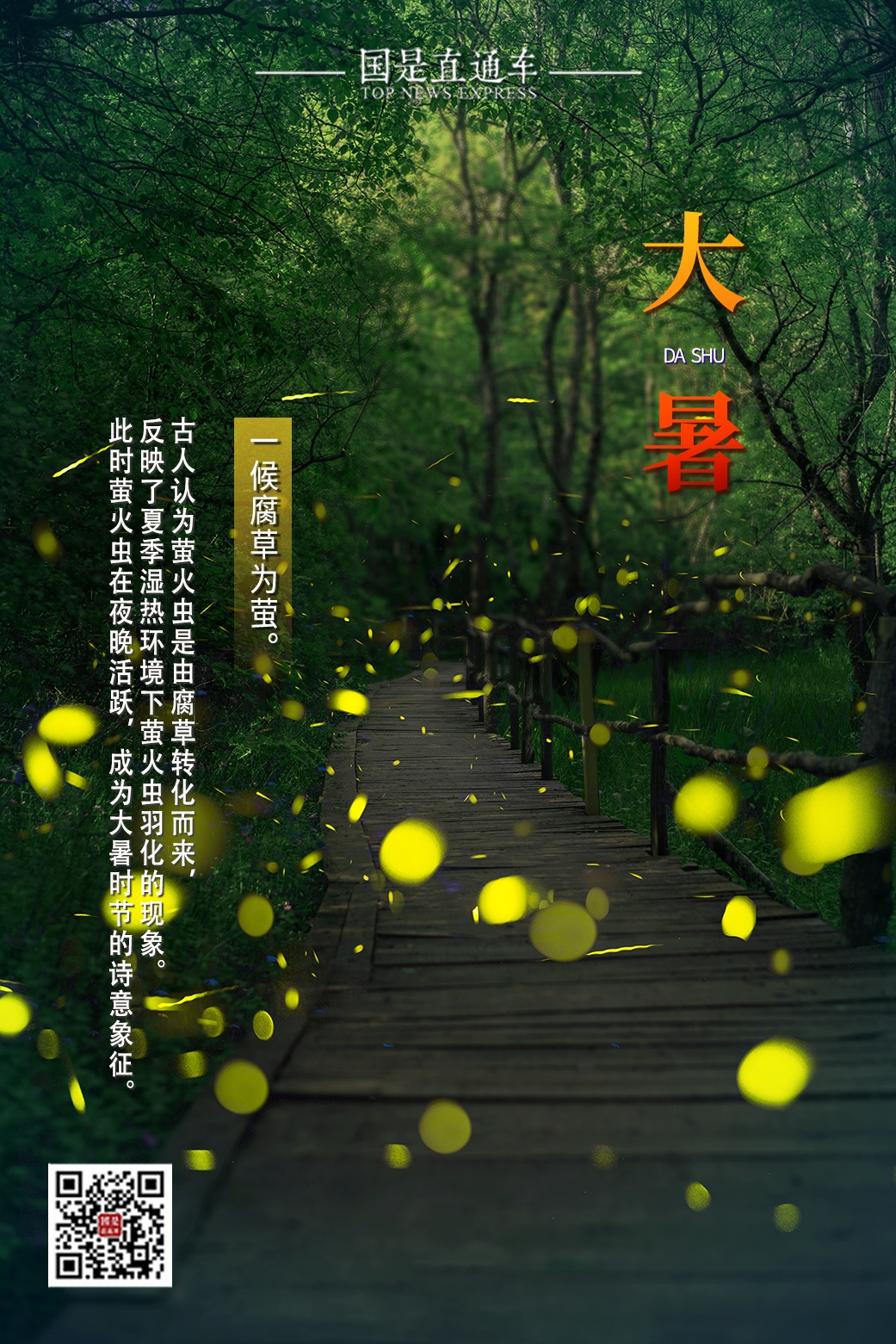 今日大暑｜愿你平心静气，不浮不躁