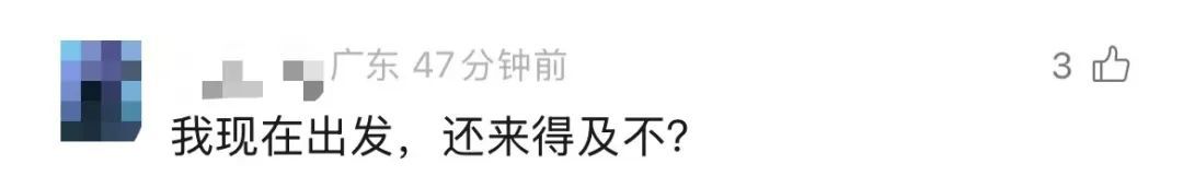 捡不完，根本捡不完！广东一地海滩再次惊现大量海鲜！提醒：尽量不要吃