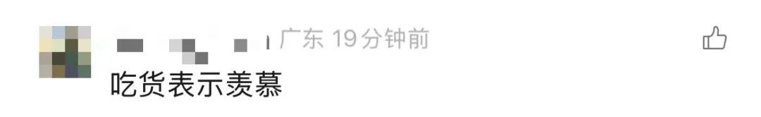 “捡不完根本捡不完”，人手一个桶，提醒：尽量不要吃