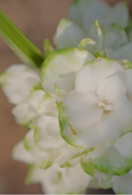 下一个台风有新消息，又在周末影响广州