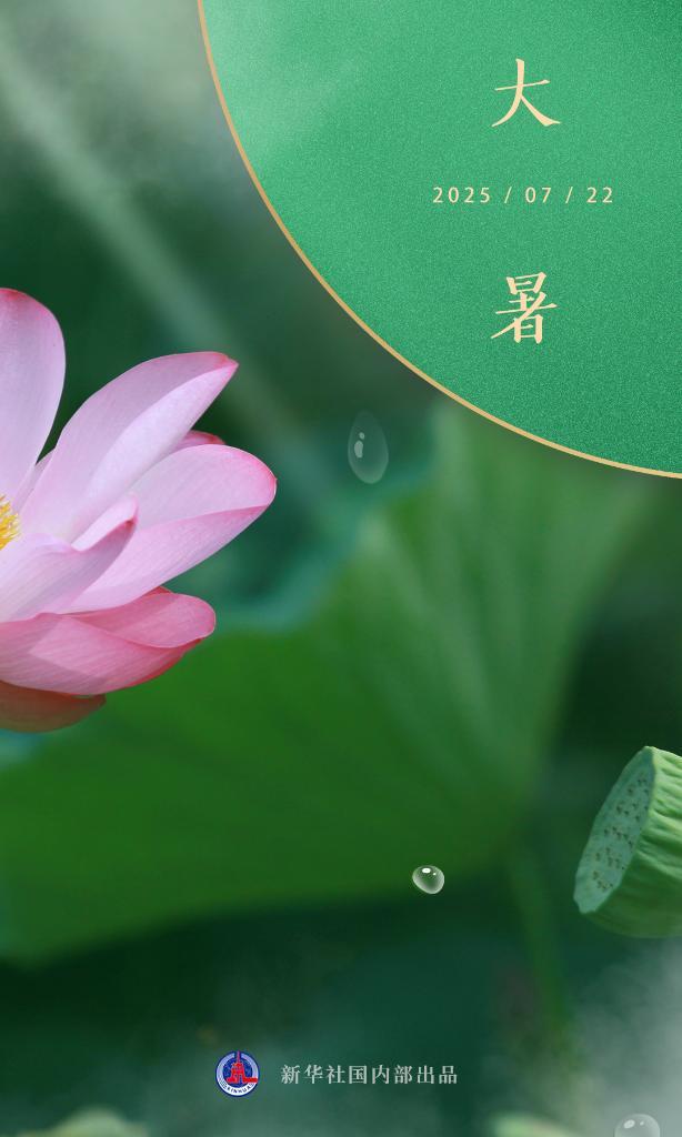 节令之美｜大暑：细嗅荷香，金池纳凉