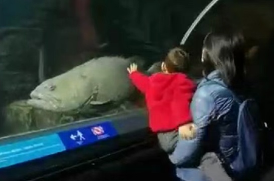 “元老级寿星”离世,上海市民:童年回忆又少一个 “元老级寿星”离世,上海市民:童年回忆又少一个