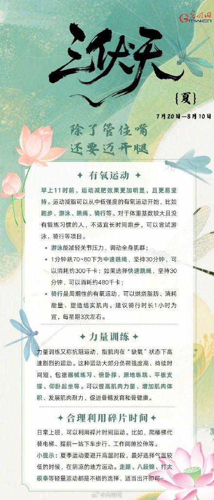 三伏天让减肥事半功倍？请接收这份减肥指南