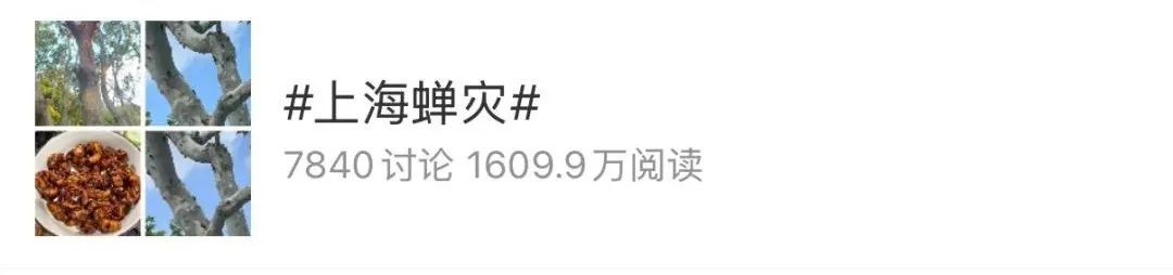 “被滋了一脸,还舔了舔……”近期很多人中招已崩溃!不是雨!不是空调水!专家提醒 “被滋了一脸,还舔了舔……”近期很多人中招已崩溃!不是雨!不是空调水!专家提醒