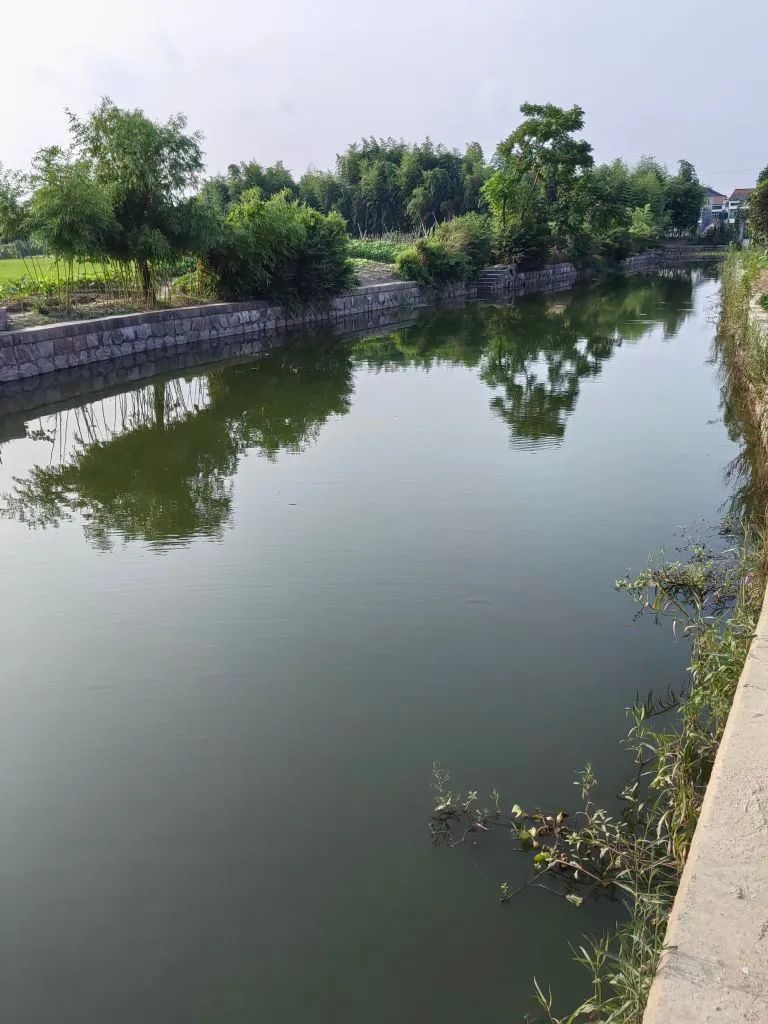 没法再低调了！杭州网友曝光75岁老爸，竟然还能做出这种事......