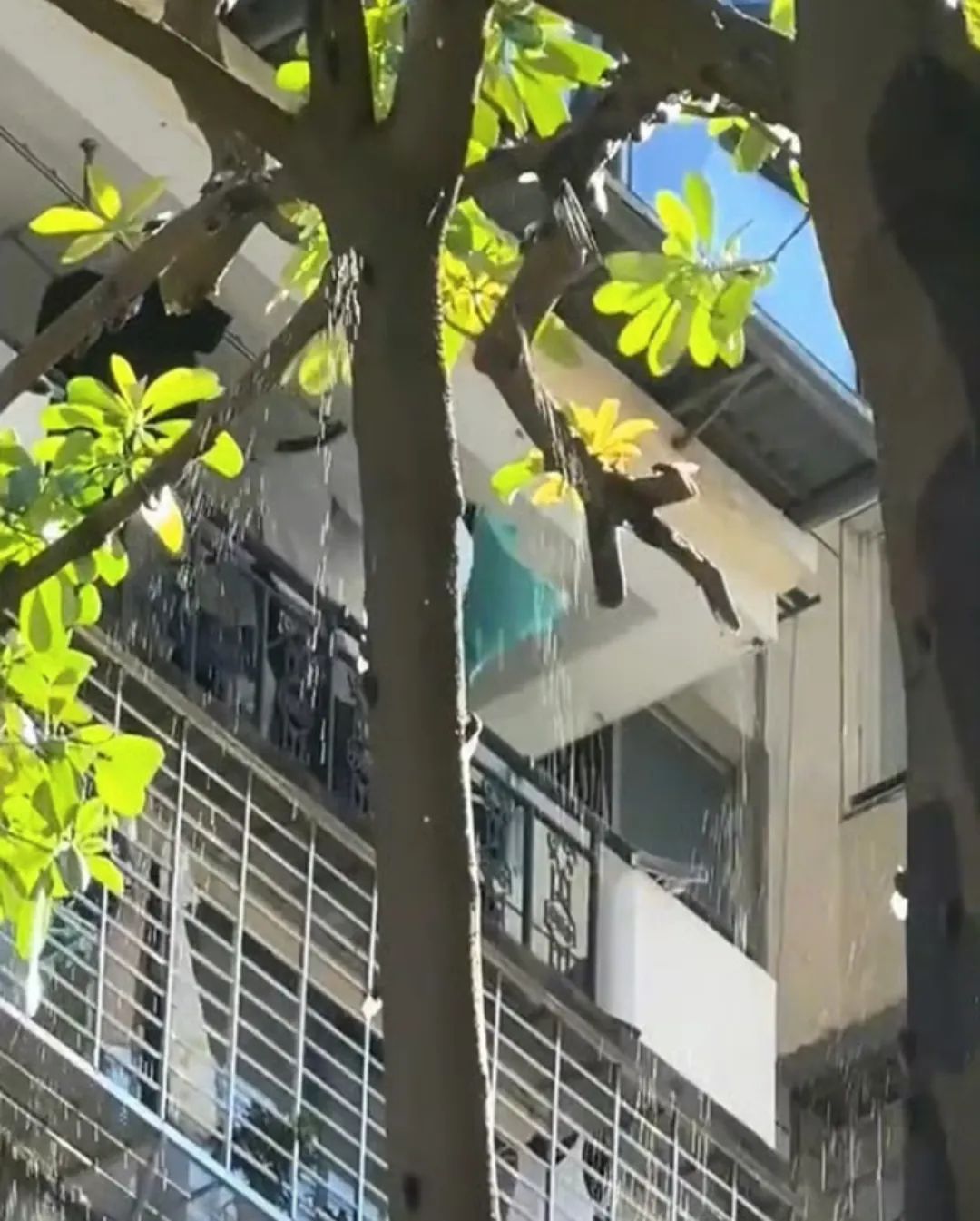 “被滋了一脸,还舔了舔……”近期很多人中招已崩溃!不是雨!不是空调水!专家提醒 “被滋了一脸,还舔了舔……”近期很多人中招已崩溃!不是雨!不是空调水!专家提醒