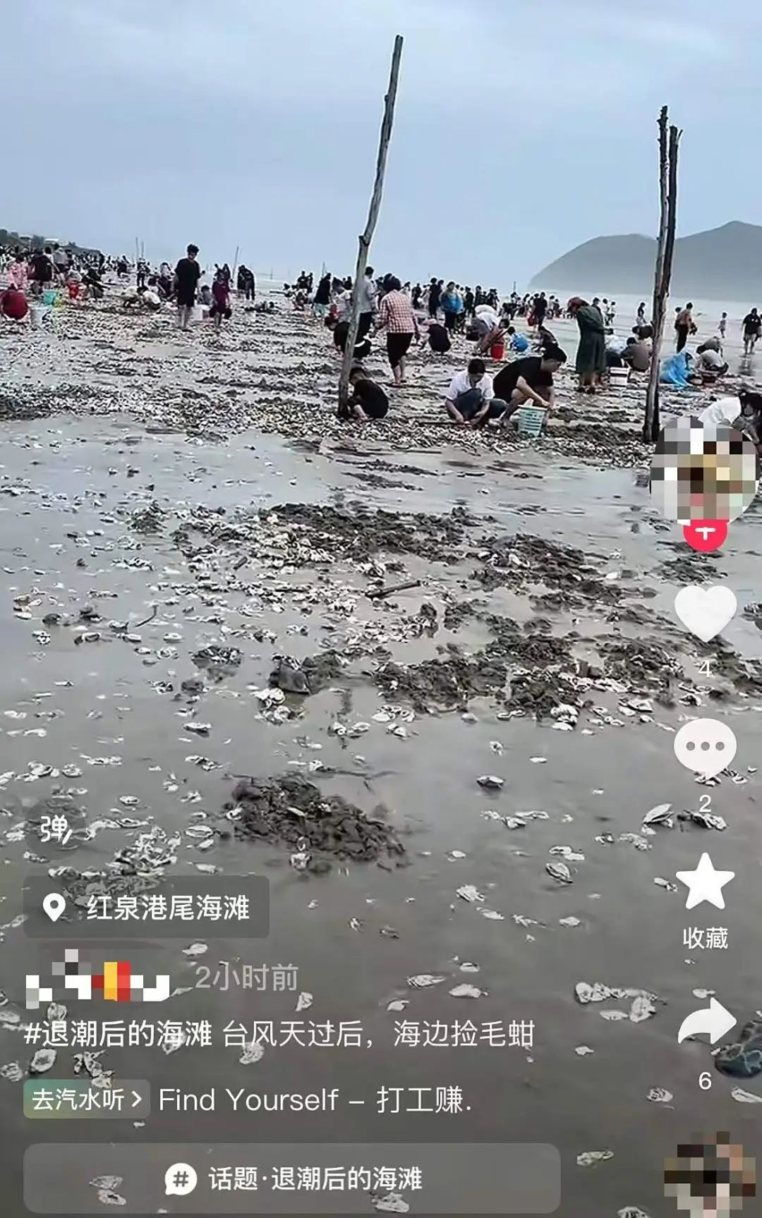 根本捡不完！台风过后，深圳海滩上“哇”声一片