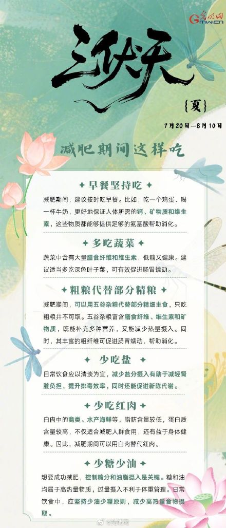 三伏天让减肥事半功倍？请接收这份减肥指南