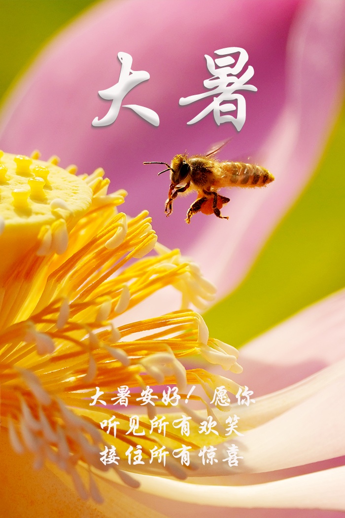 大暑!祝你静享清凉,幸福安康 大暑!祝你静享清凉,幸福安康